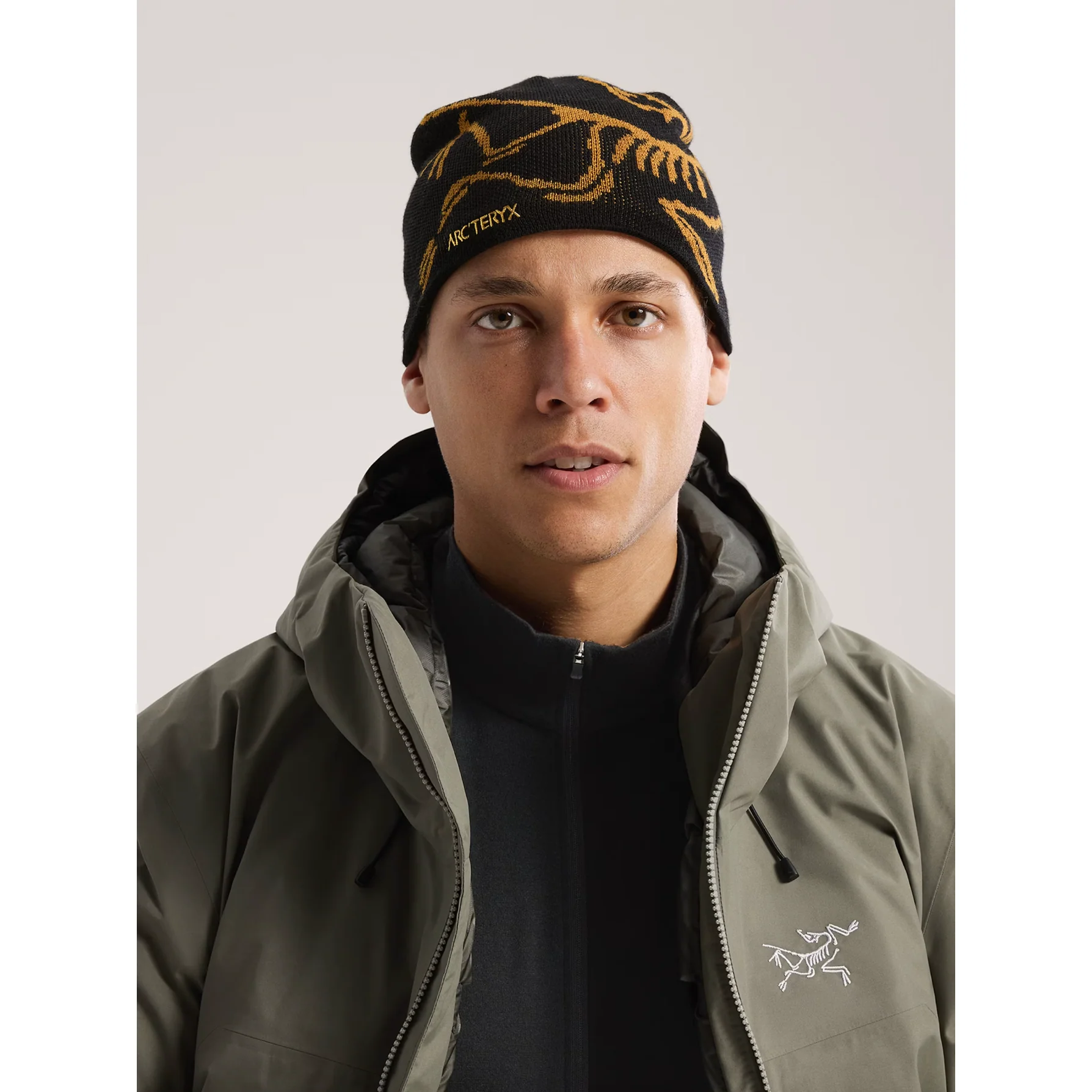 Arc'teryx Bird Head Toque