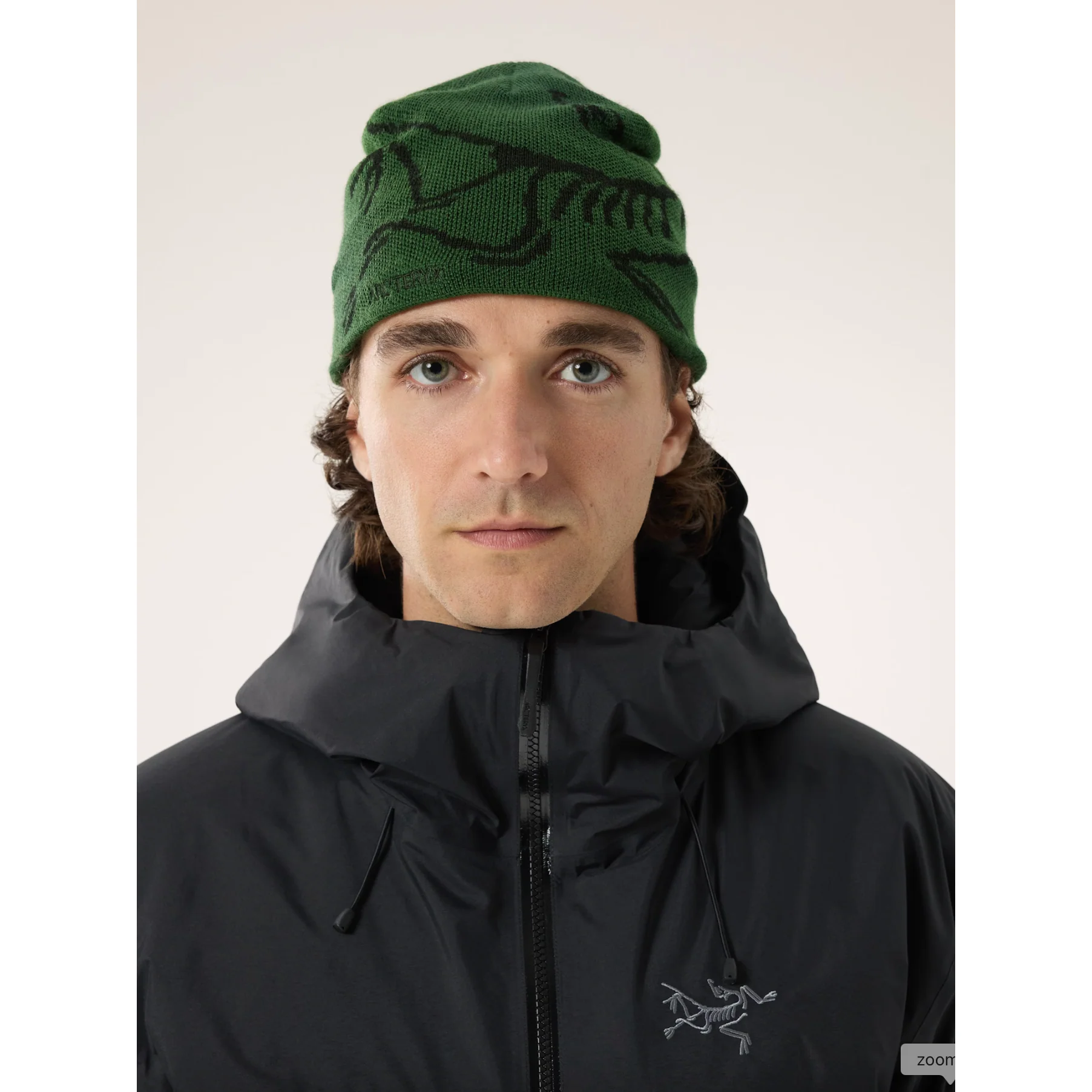 Arc'teryx Bird Head Toque - Image 16