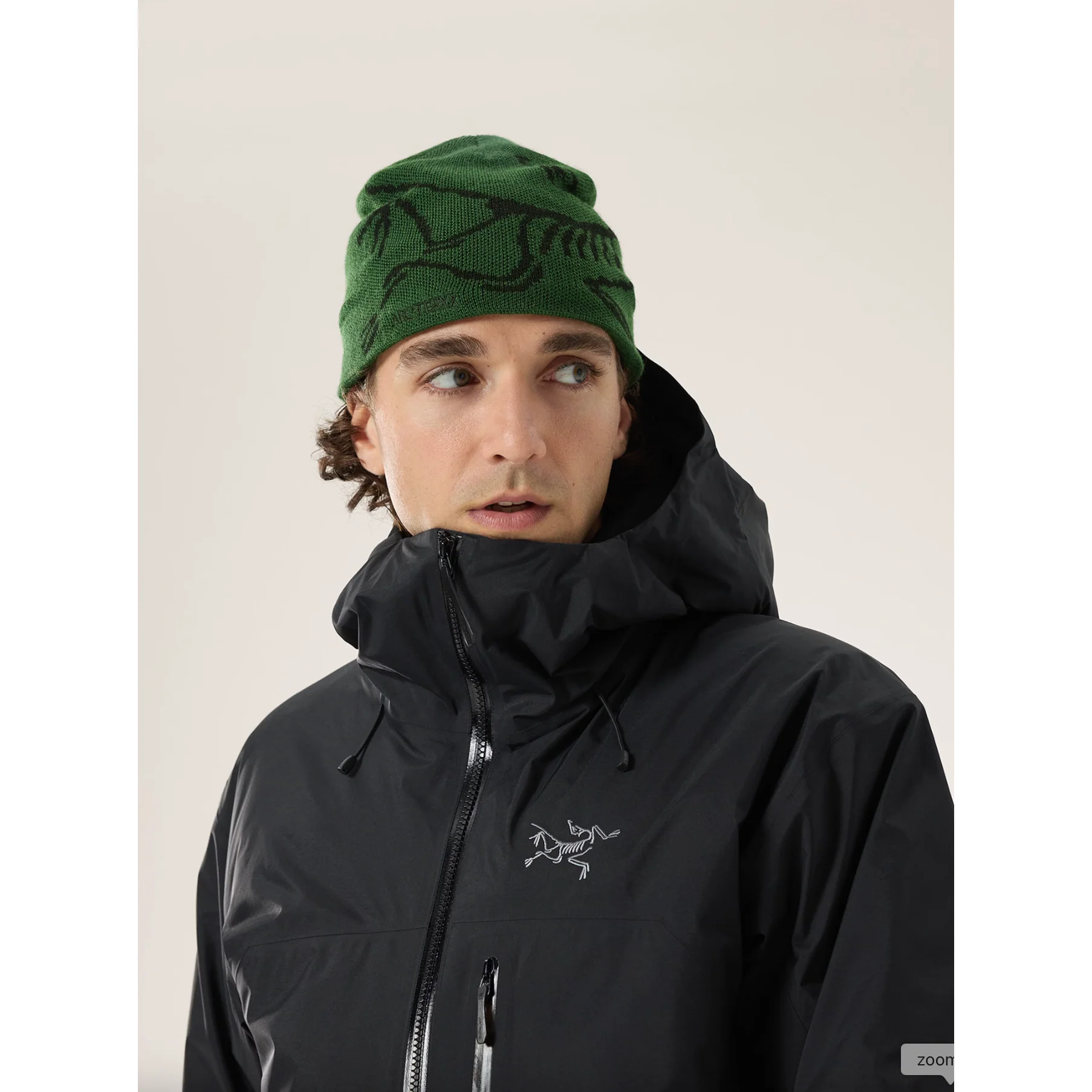 Arc'teryx Bird Head Toque - Image 17