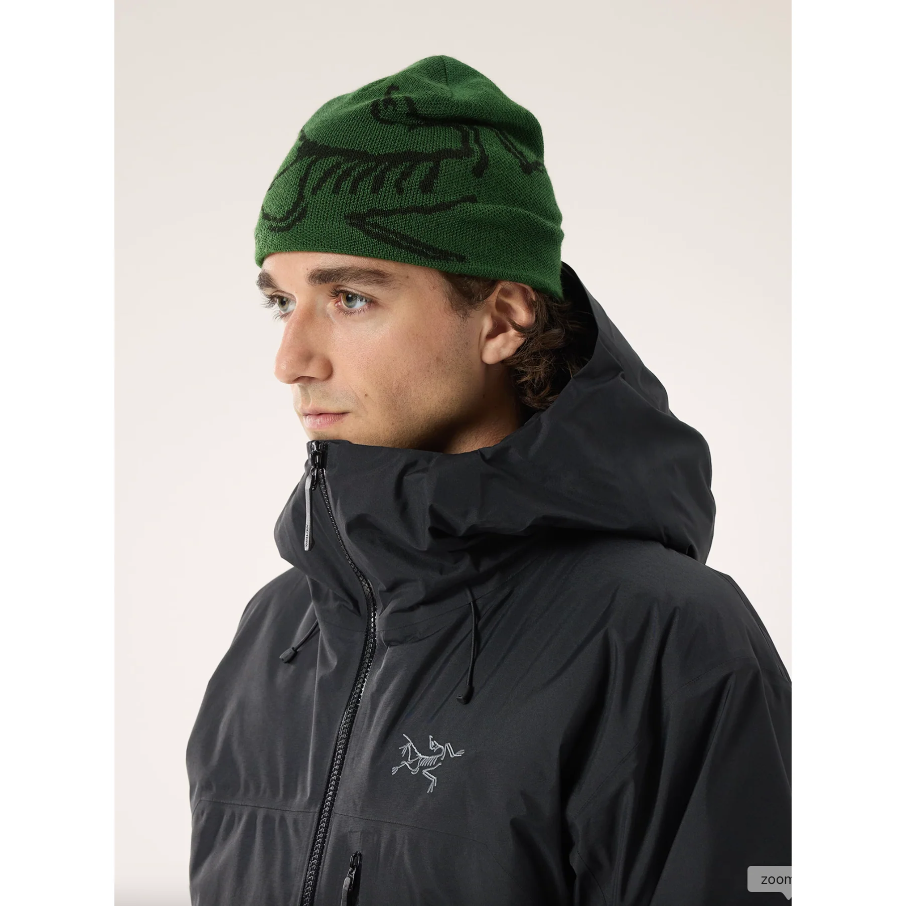 Arc'teryx Bird Head Toque - Image 19