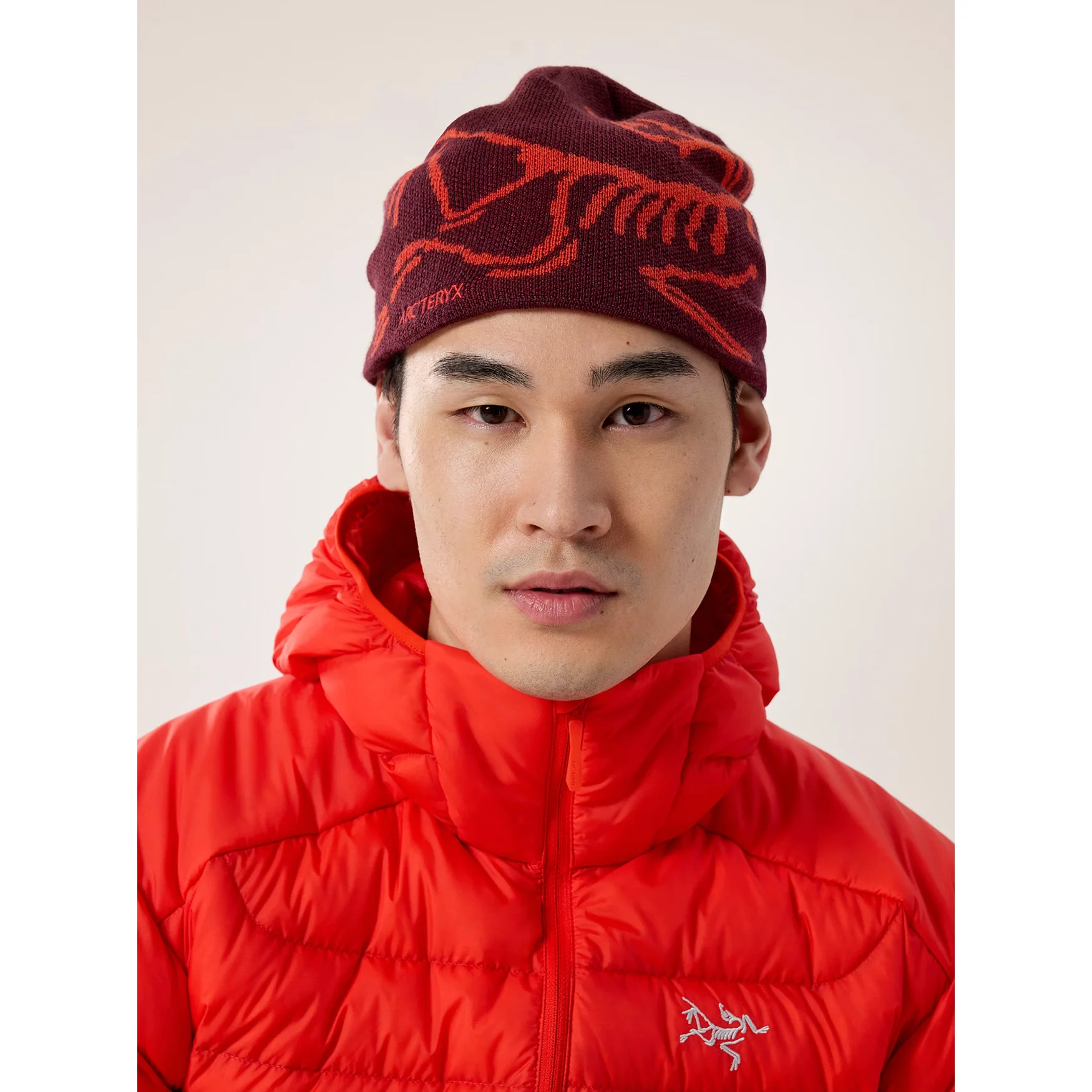 Arc'teryx Bird Head Toque - Image 26