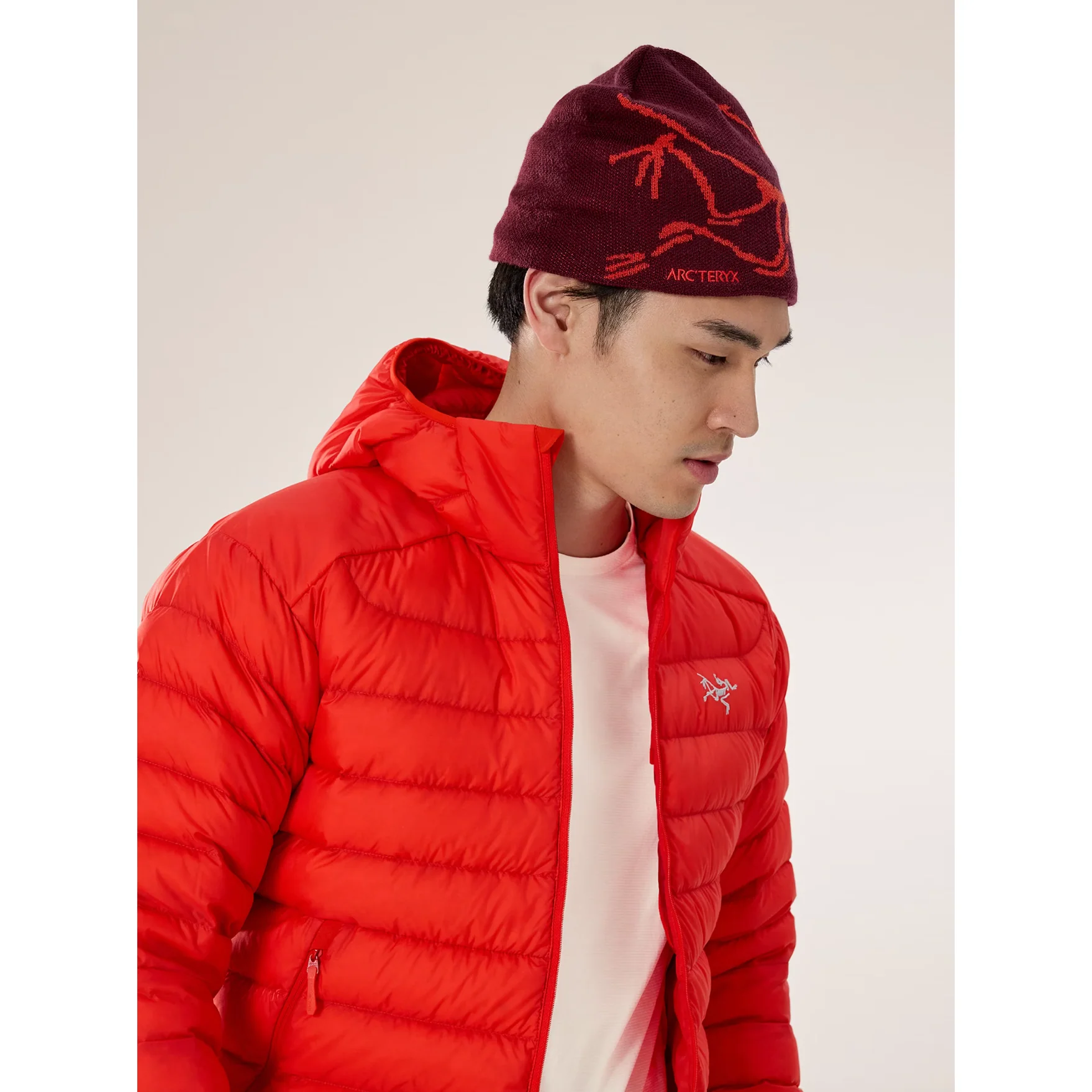 Arc'teryx Bird Head Toque - Image 27
