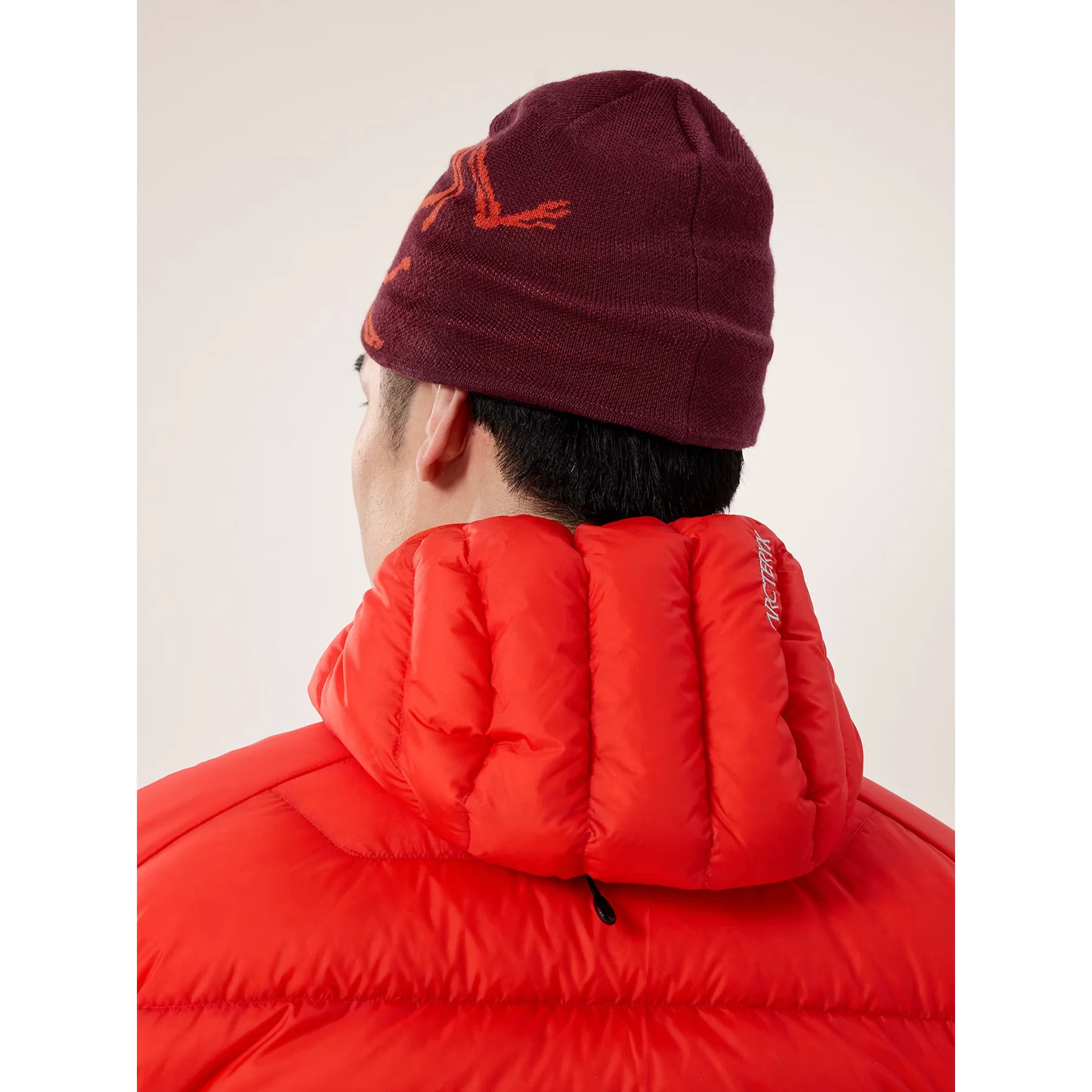 Arc'teryx Bird Head Toque - Image 28