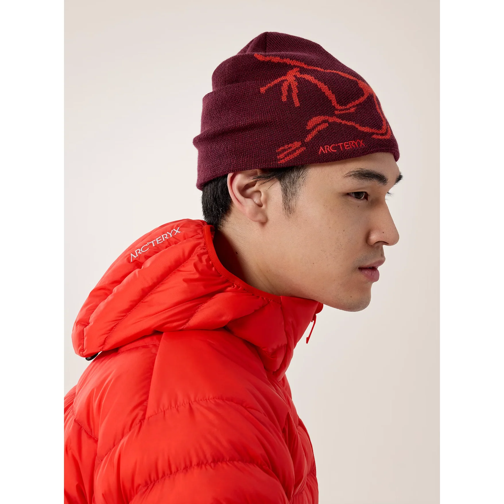 Arc'teryx Bird Head Toque - Image 29