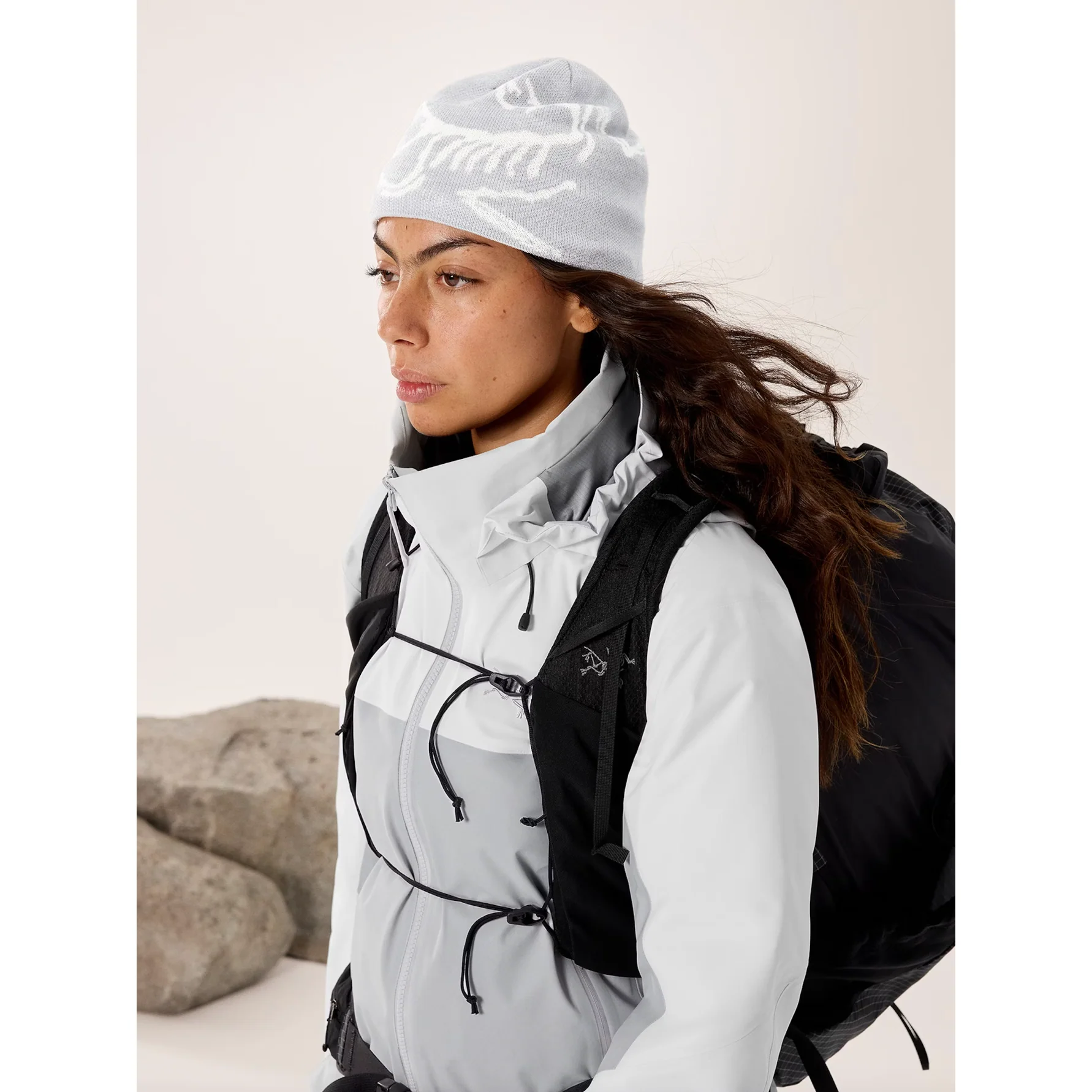 Arc'teryx Bird Head Toque - Image 32