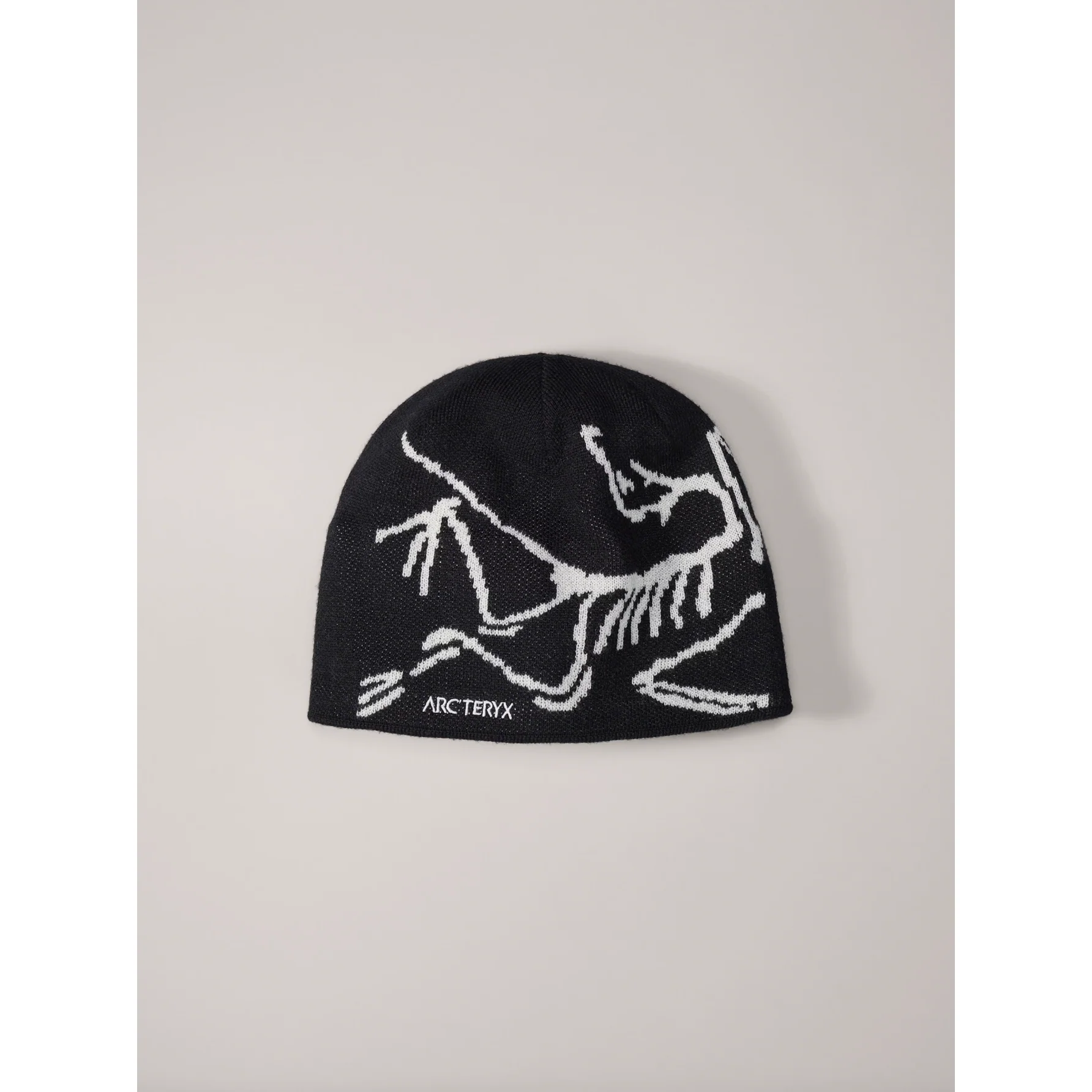 Arc'teryx Bird Head Toque - Image 40