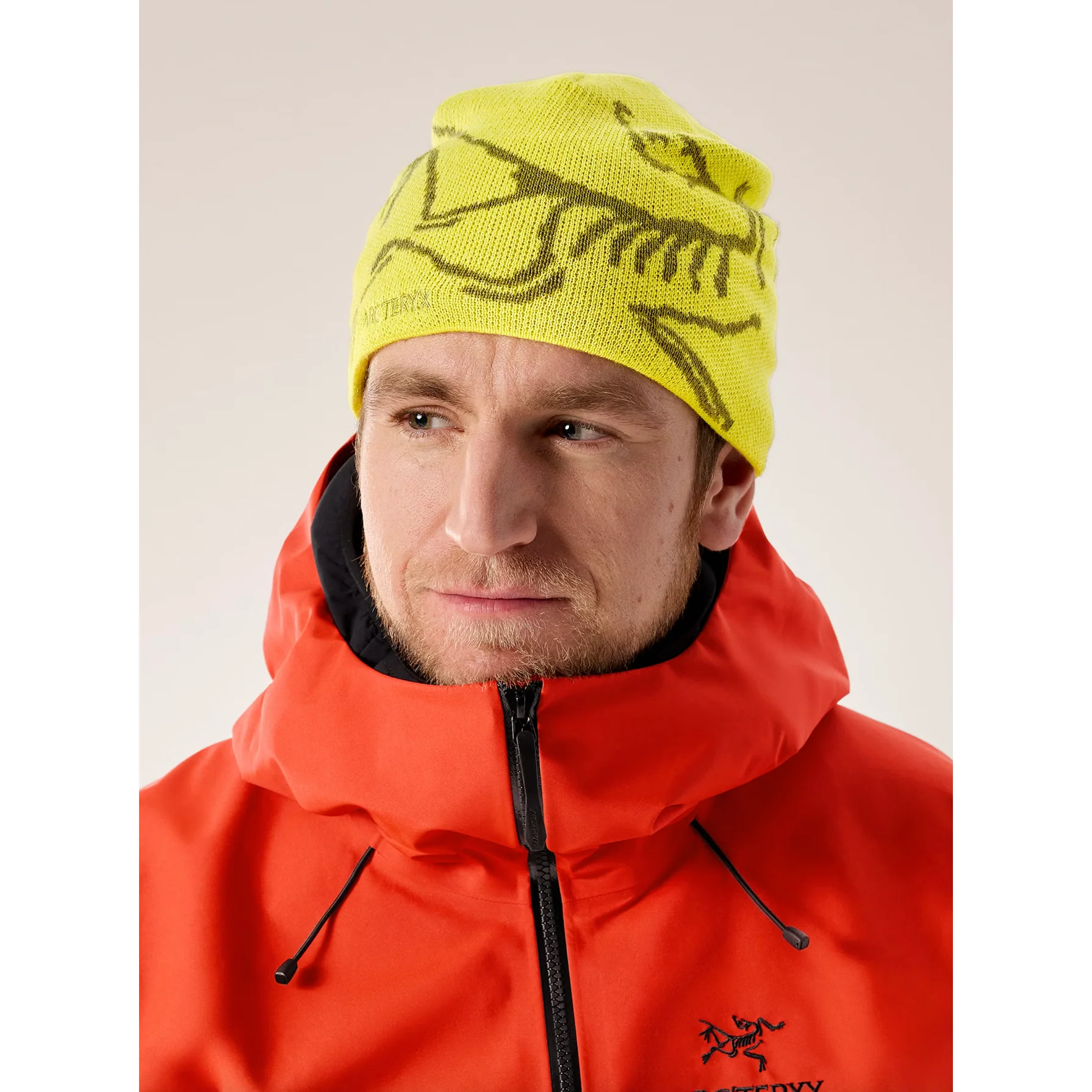 Arc'teryx Bird Head Toque - Image 41