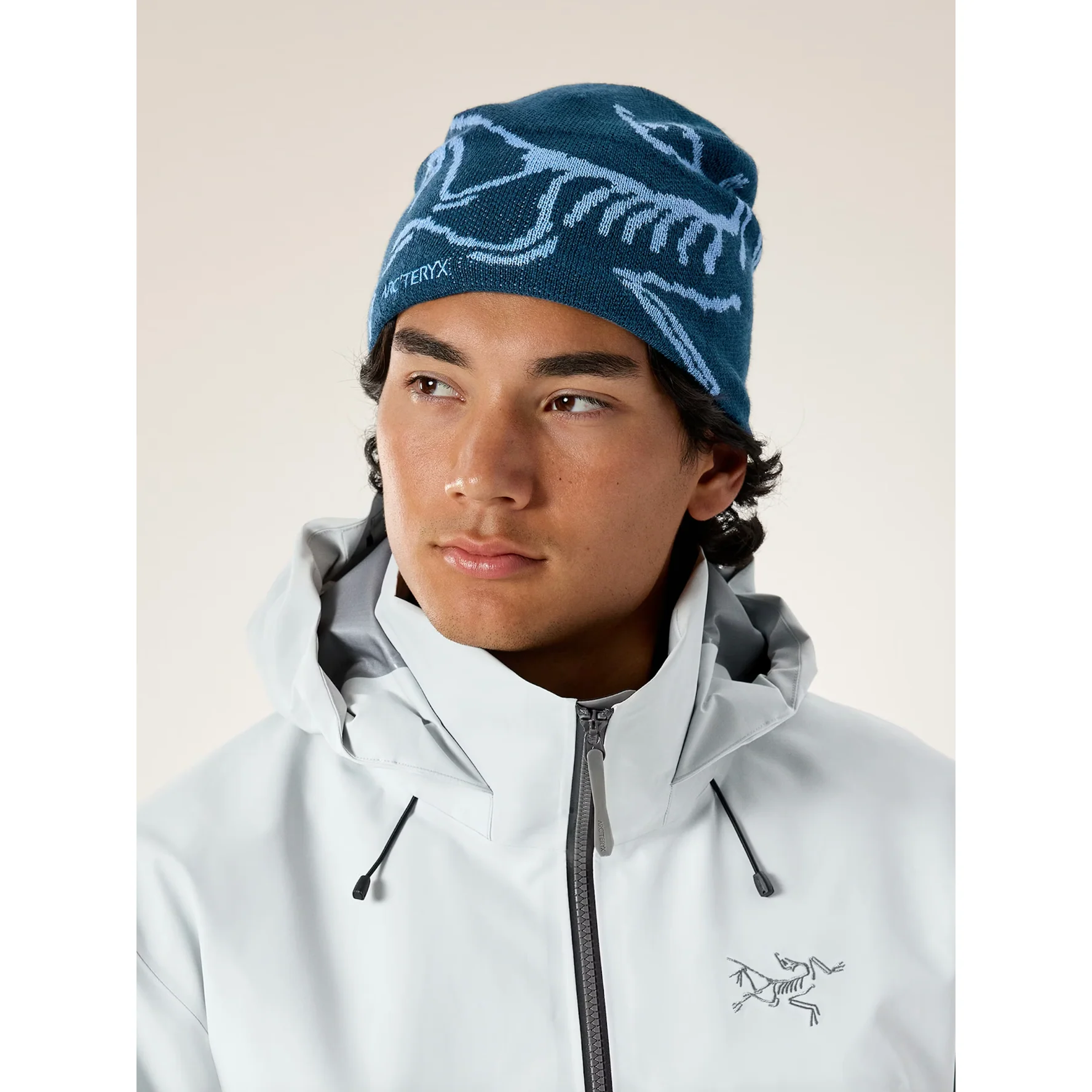 Arc'teryx Bird Head Toque - Image 51