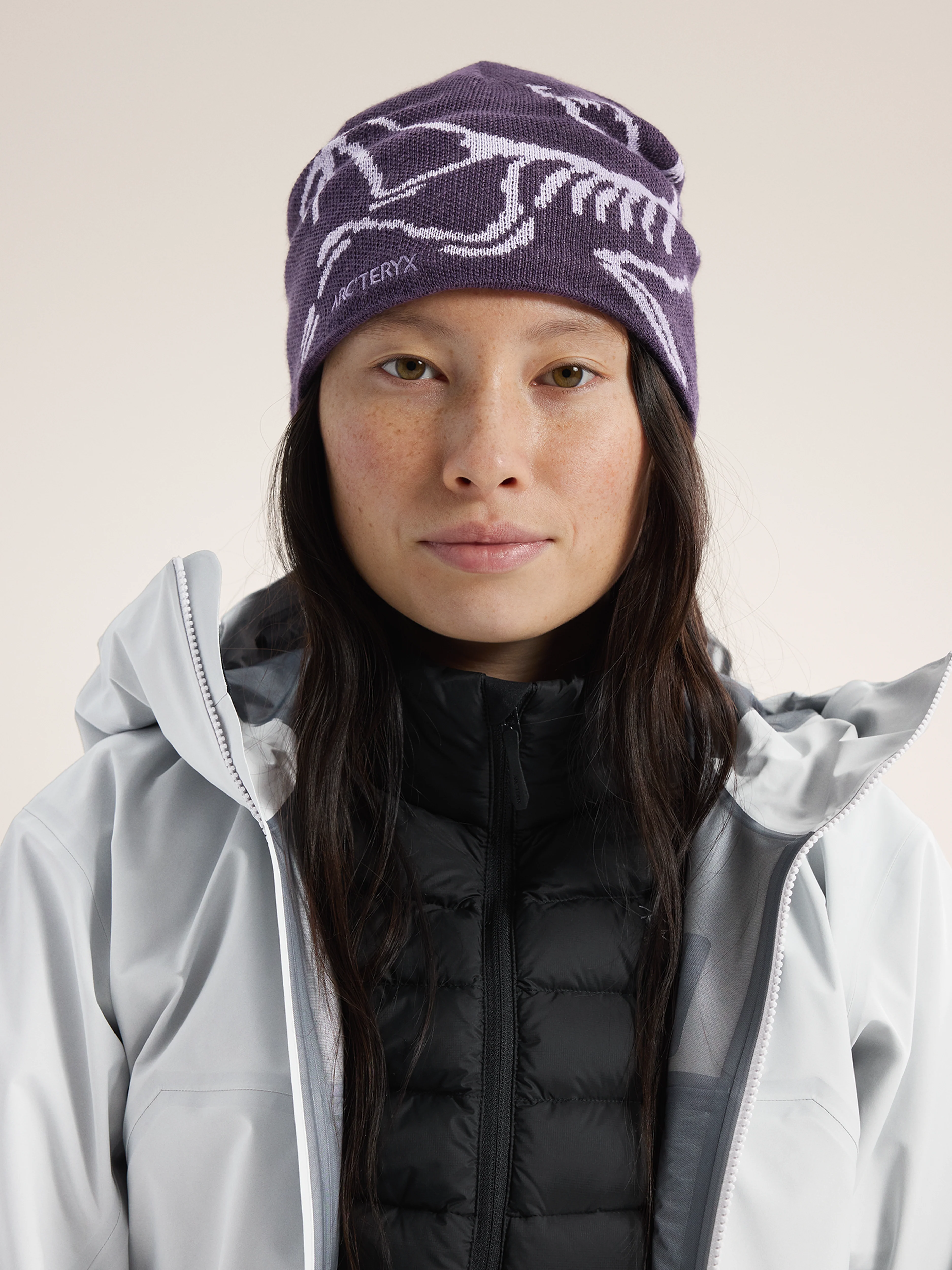 Arc'teryx Bird Head Toque - Image 71