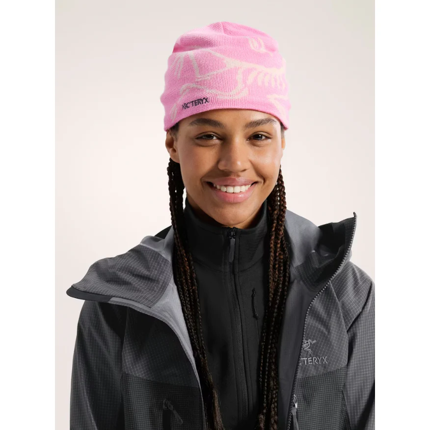 Arc'teryx Bird Head Toque - Image 80