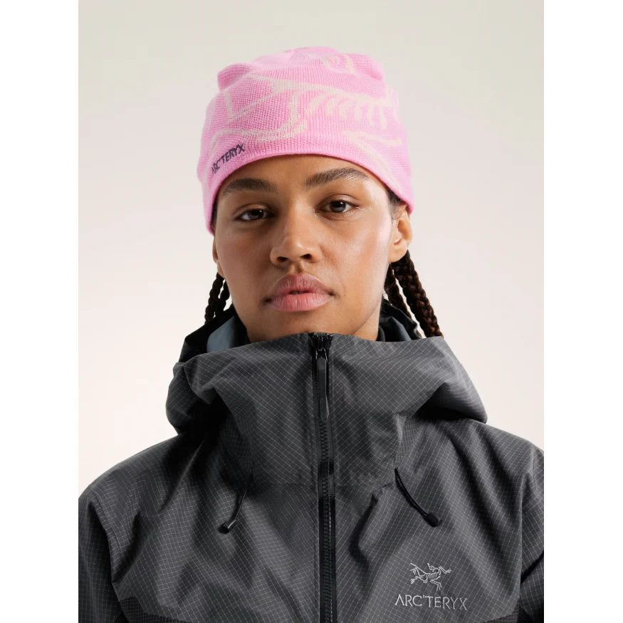 Arc'teryx Bird Head Toque - Image 81