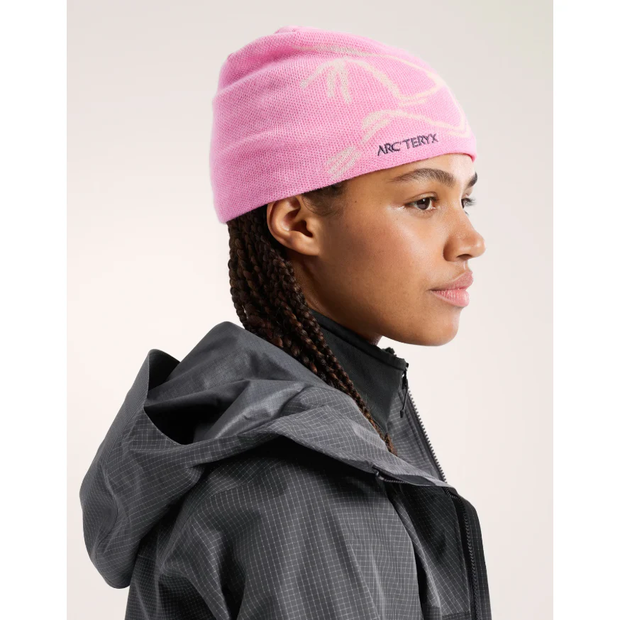 Arc'teryx Bird Head Toque - Image 83