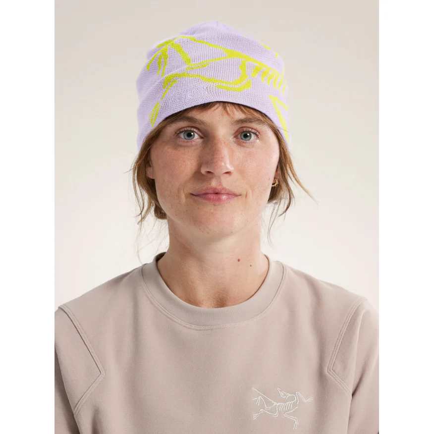 Arc'teryx Bird Head Toque - Image 85