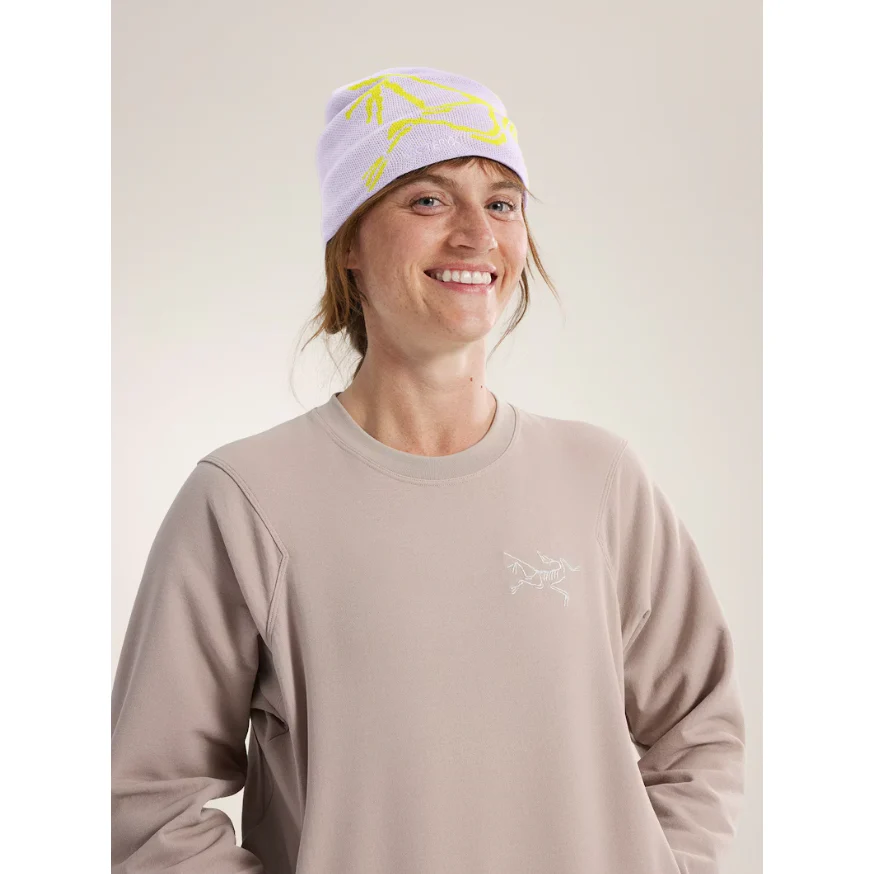 Arc'teryx Bird Head Toque - Image 86