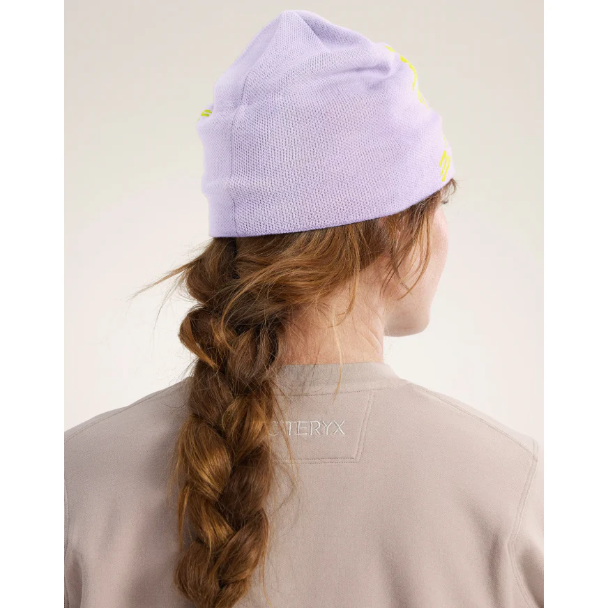 Arc'teryx Bird Head Toque - Image 87