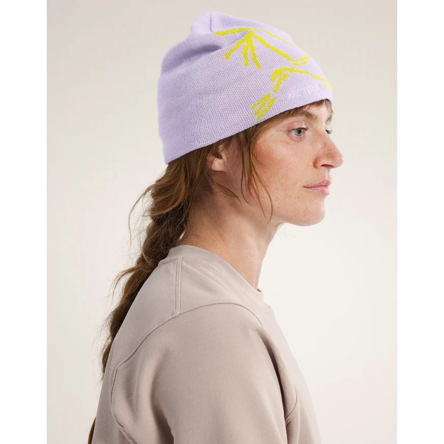 Arc'teryx Bird Head Toque - Image 88
