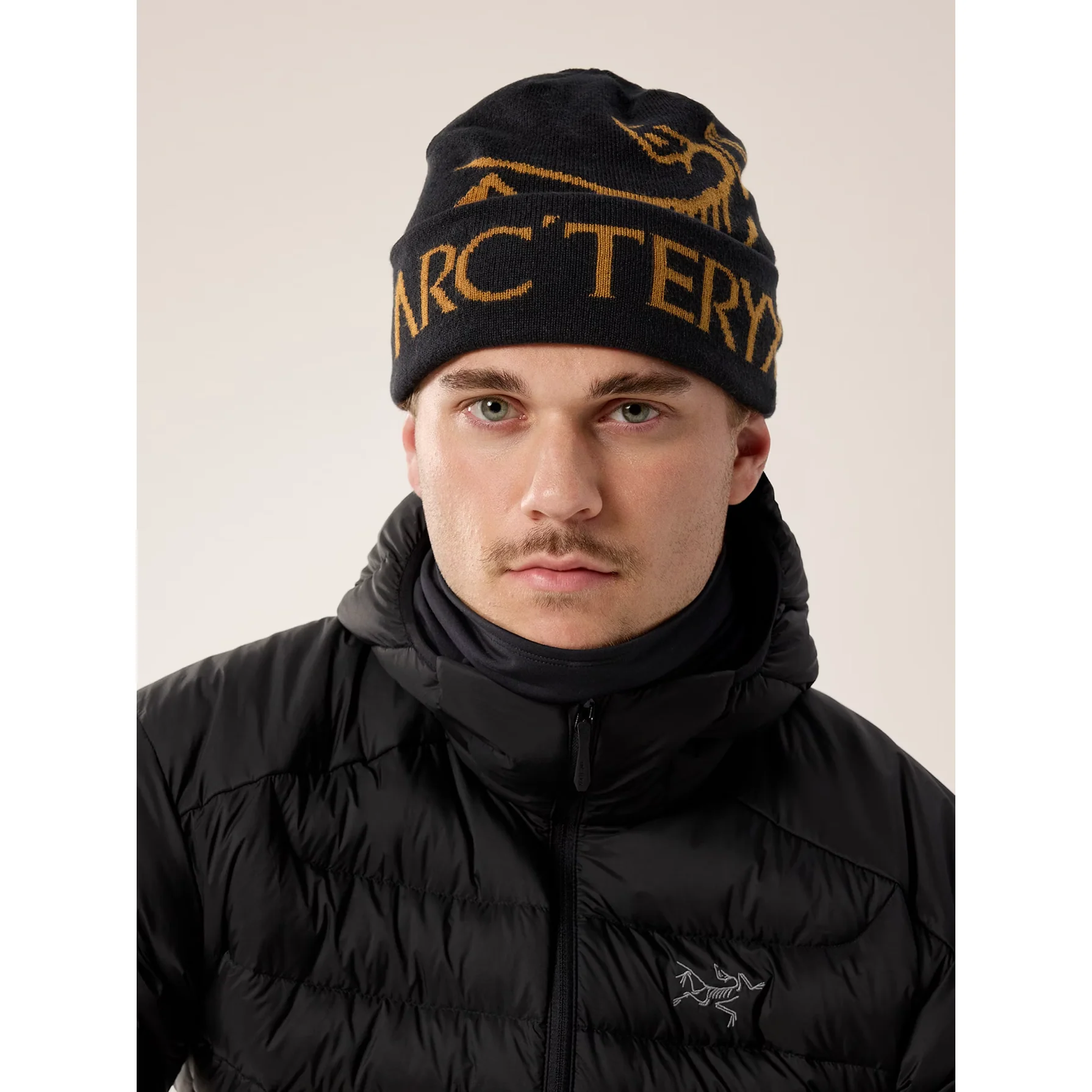 Arc'teryx Bird Word Toque - Image 15
