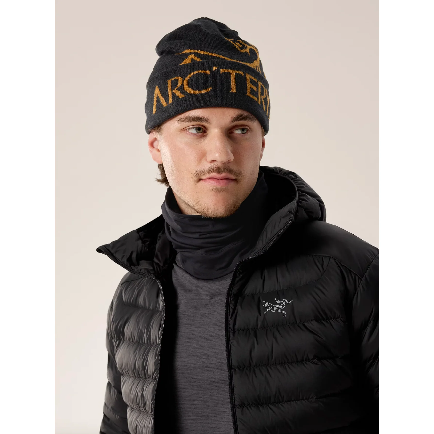 Arc'teryx Bird Word Toque - Image 16