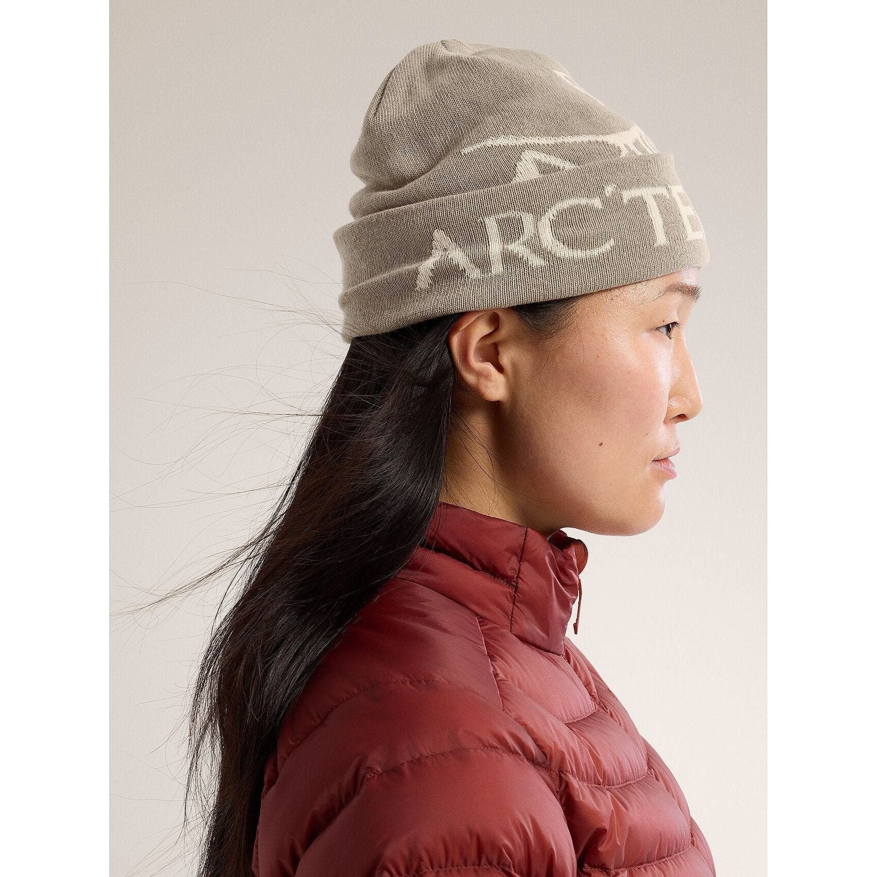 Arc'teryx Bird Word Toque - Image 4