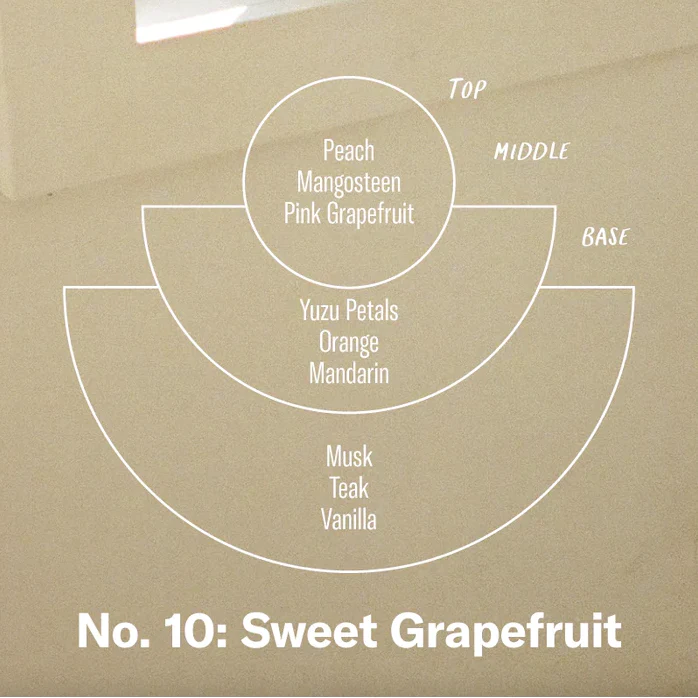 P.F. Candle Co. 3.5 fl oz Reed Diffuser - Sweet Grapefruit - Image 4